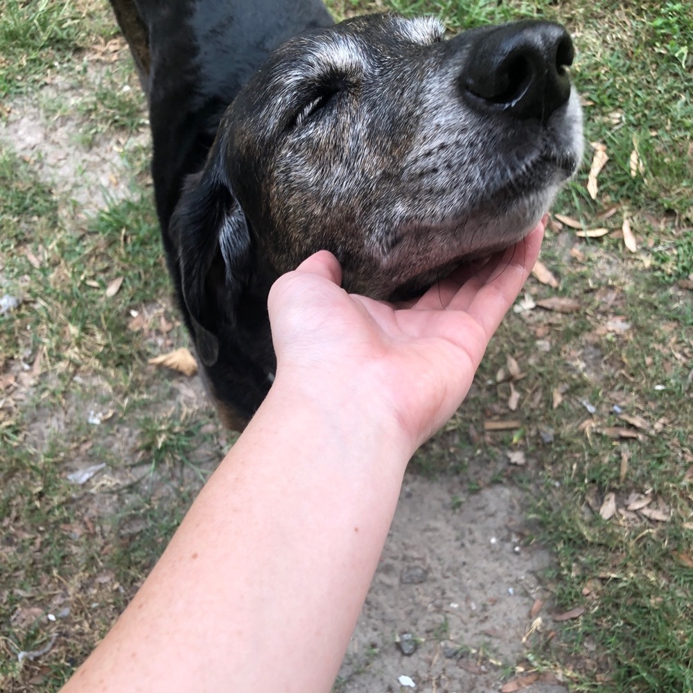 Meet your Posher, Regan